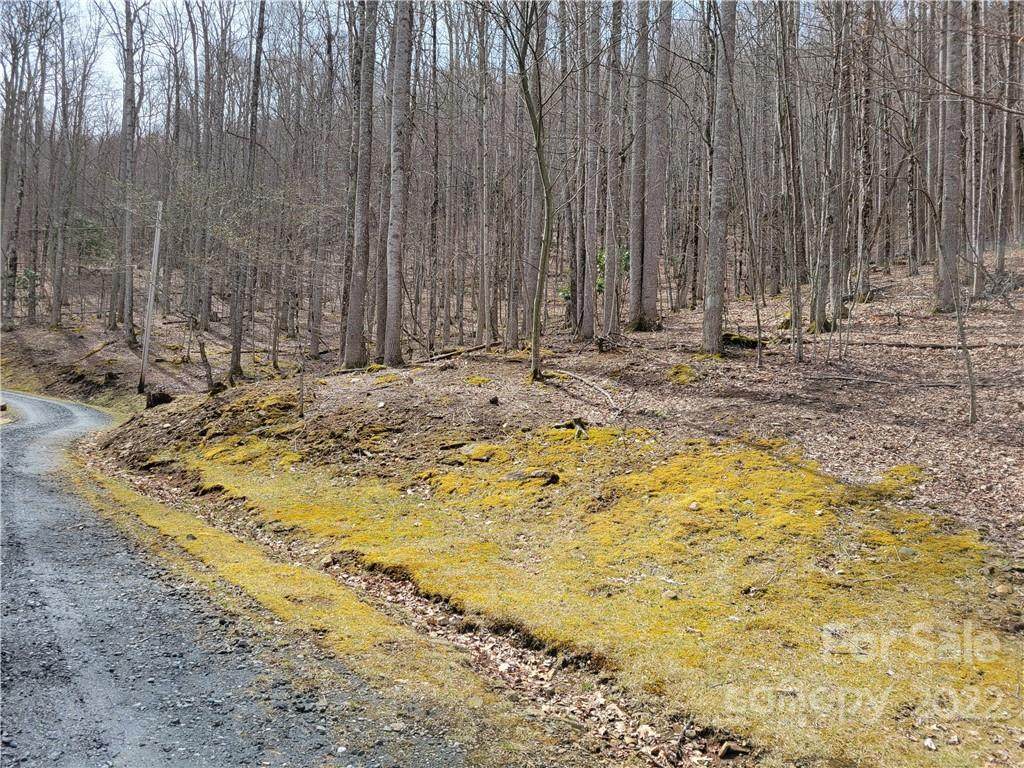 000 Hickory Springs Drive - Photo 1
