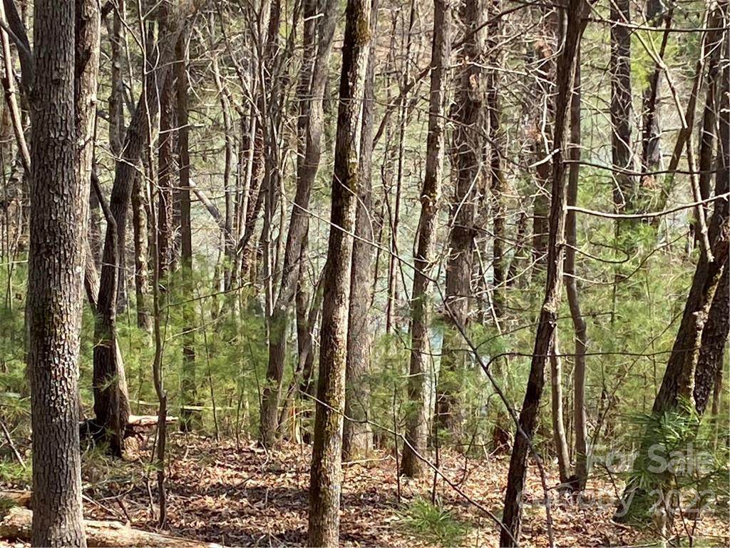 0 Camp Creek Road - Photo 1