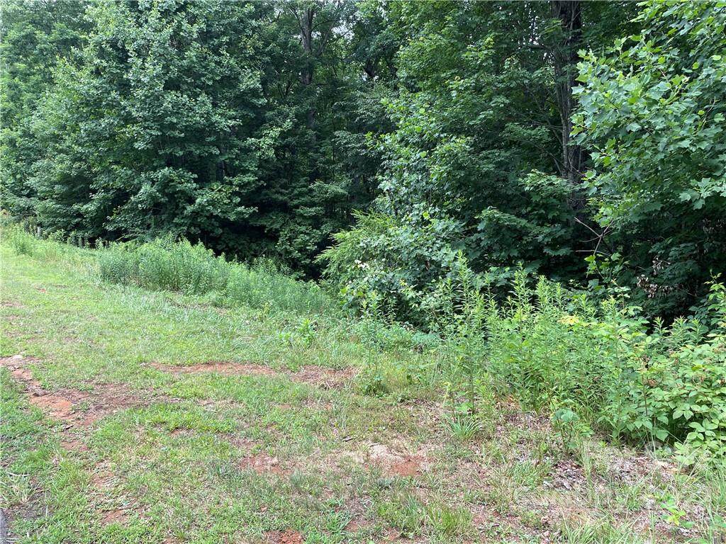 Lot 52 New Castle Road - Photo 1