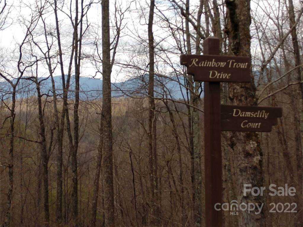 0000 Rainbow Trout Drive - Photo 1