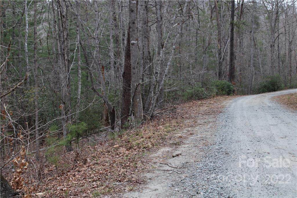00 Roadrunner Circle - Photo 1