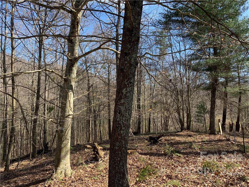 000 Roland Branch Road - Photo 1