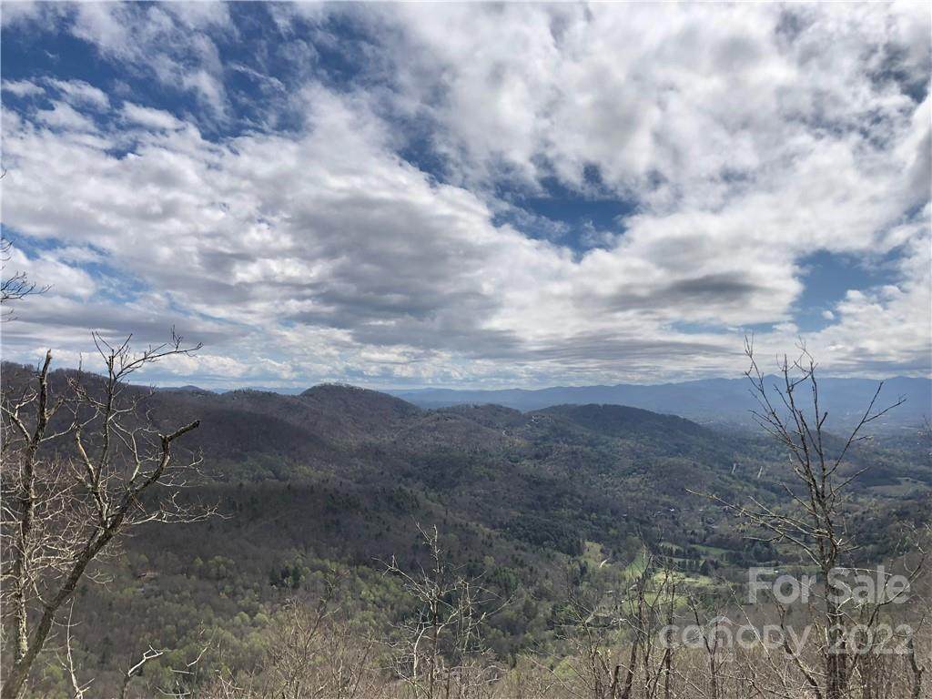 000 Elk Mountain Scenic Highway - Photo 1