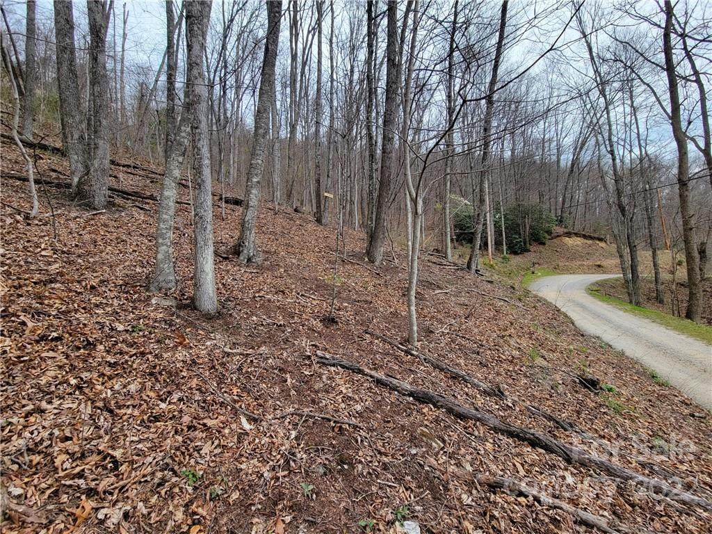 7 Liner Creek Road - Photo 1