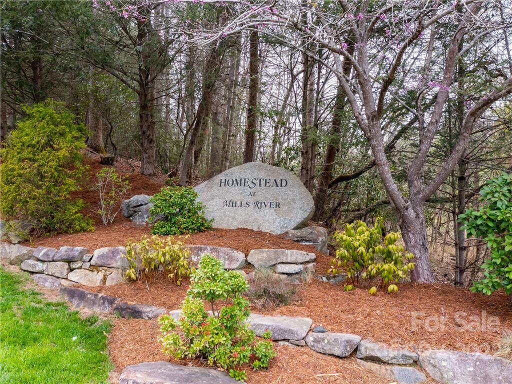 472 Mills River Way - Photo 1
