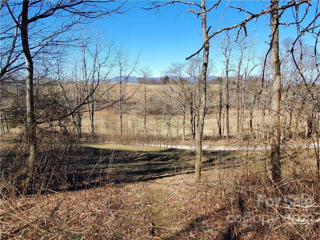 Lot 7 Golden Hill Lane - Photo 1