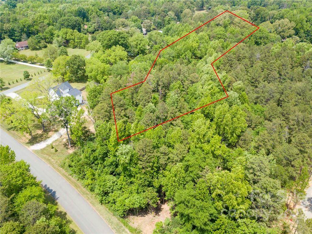 9930 Minnie Lemmond Lane - Photo 1