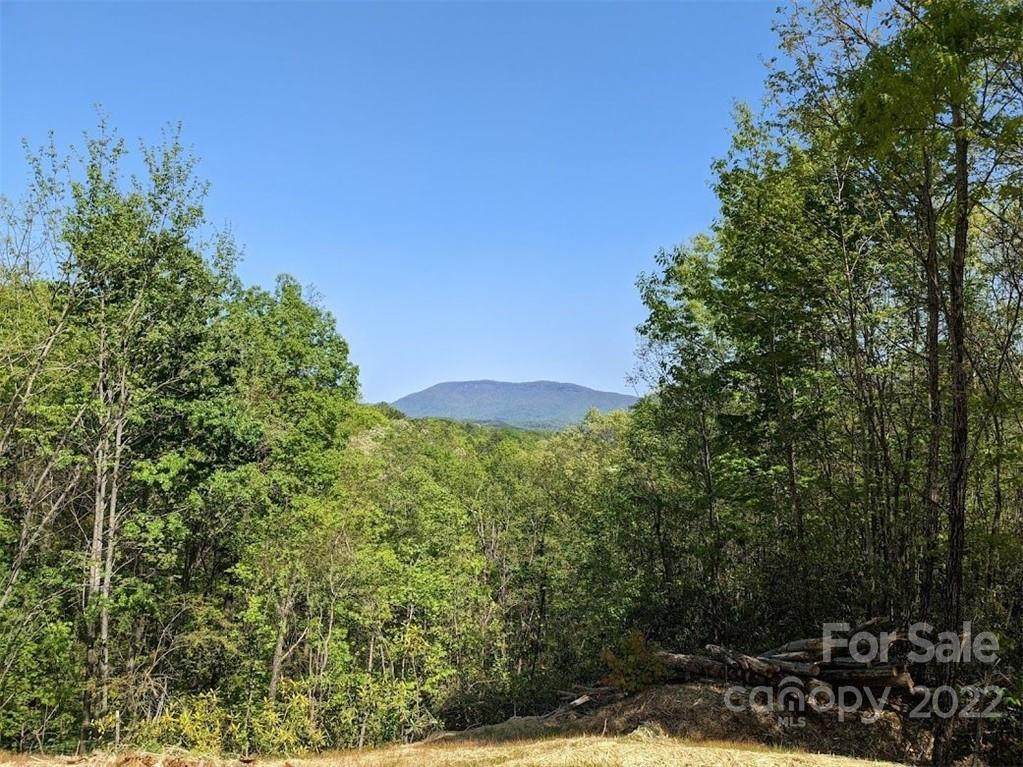 171 Nuthatch Lane - Photo 1