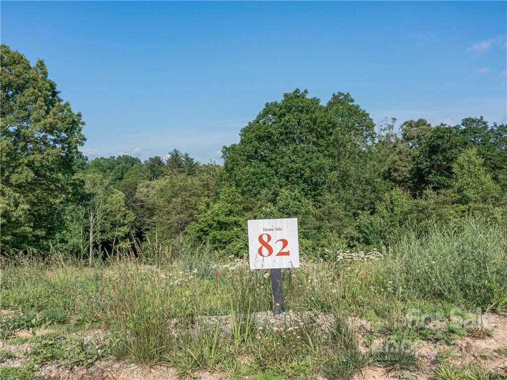 523 Wilma Dykeman Trail - Photo 1