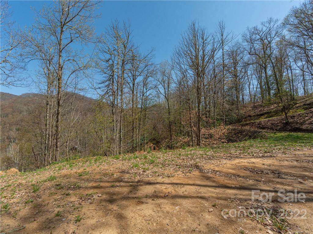 90 Young Bear Trail - Photo 1