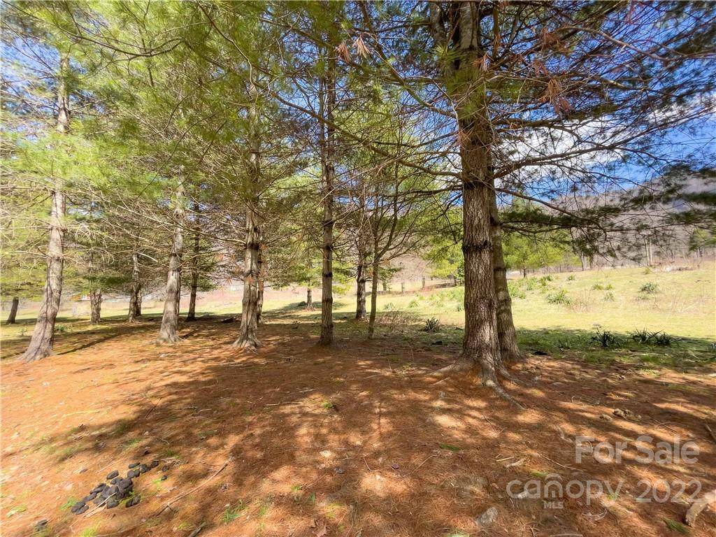 000 Cattail Creek Road - Photo 1