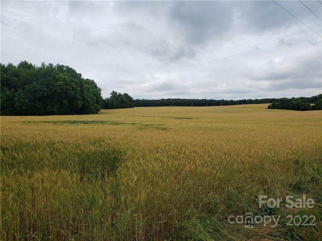 0 White Store Road - Photo 1