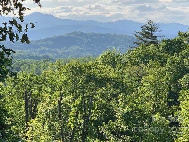 185 Crossvine Trail - Photo 1
