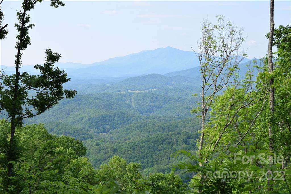 TBD Sweet Creek Road - Photo 1