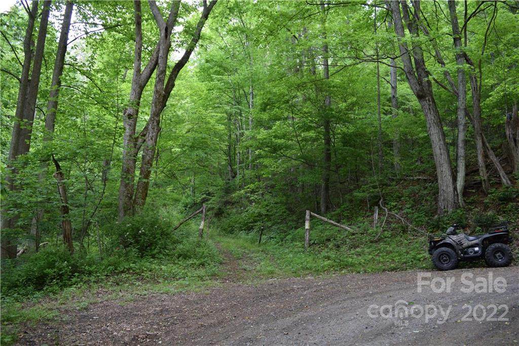 TBD Sweet Creek Road - Photo 1