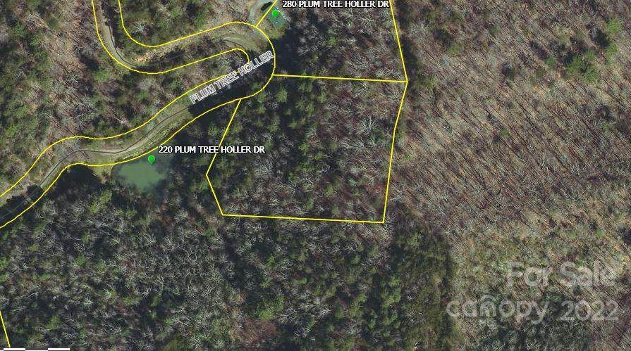 0 Plum Tree Holler Drive - Photo 1