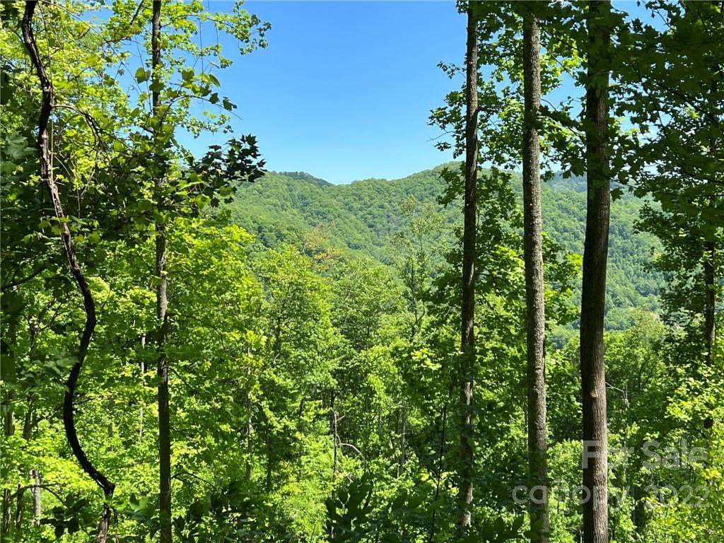 421 Jass Cove Road - Photo 1
