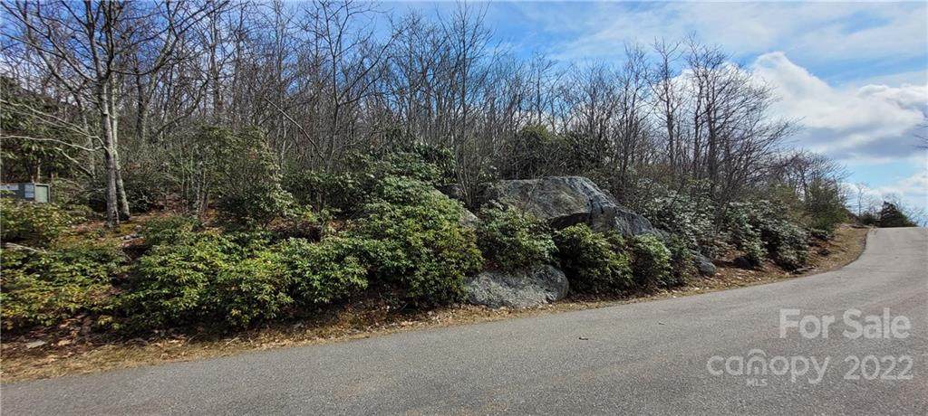TBD Algonquin Drive - Photo 1