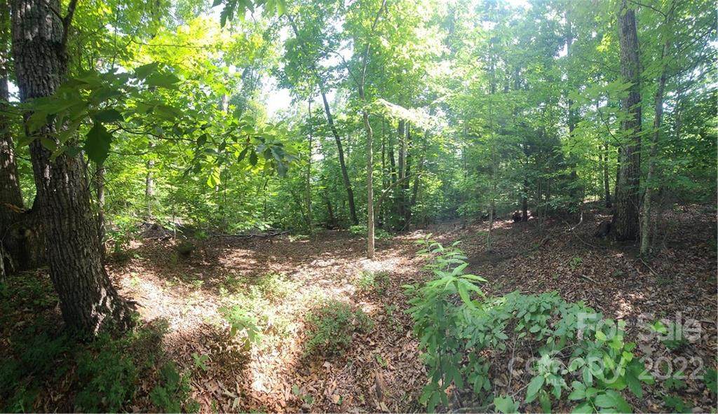 TBD Forest Country Drive - Photo 1
