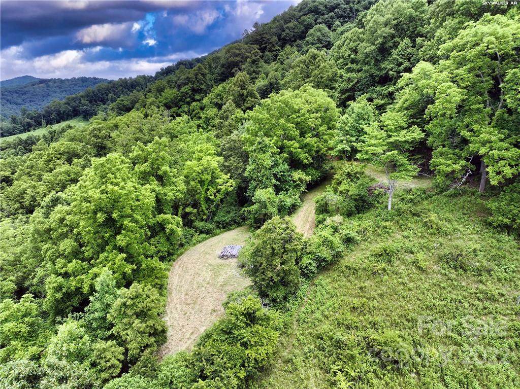 100 Robinson Holler Road - Photo 1