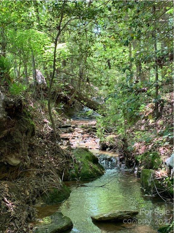 7101 Nolden Creek Road - Photo 1