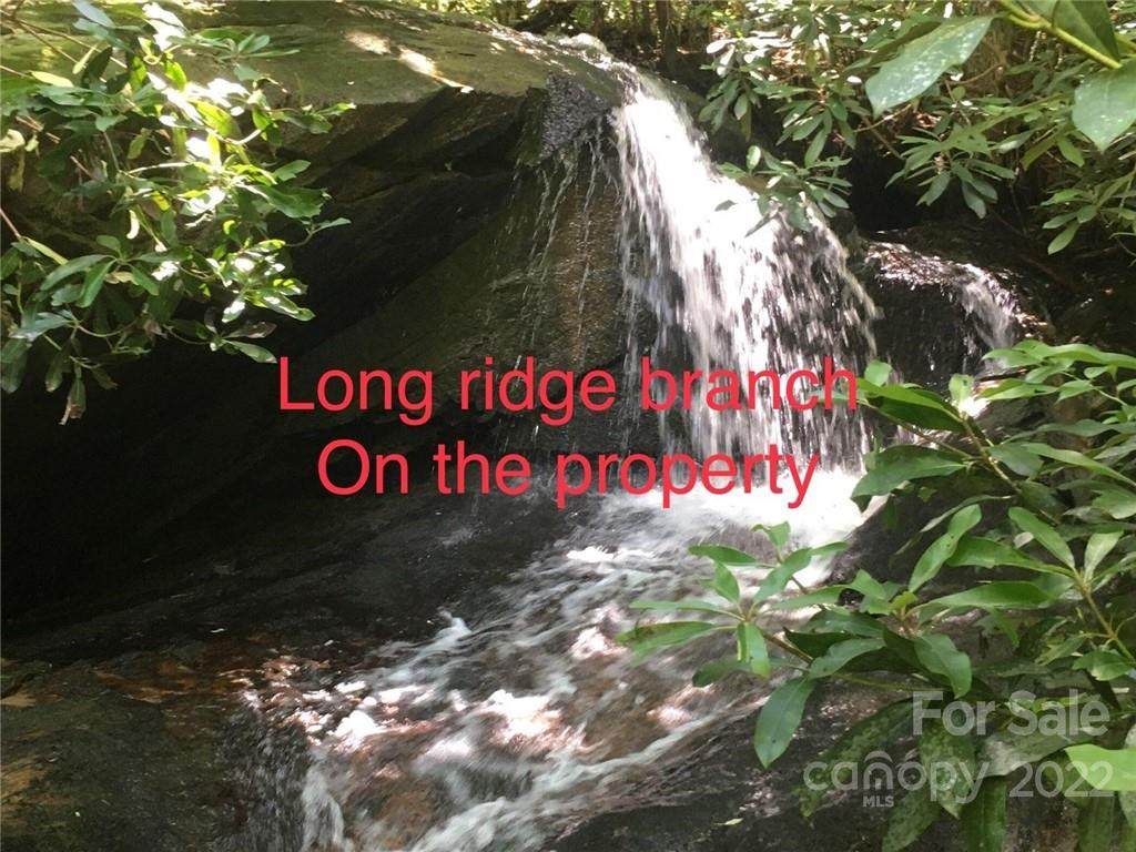 00 Pounding Mill Trail - Photo 1