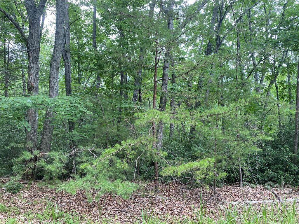 Lot 43 Flynn Court - Photo 1