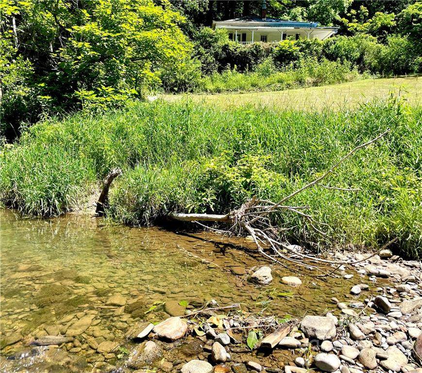 11945 Us Hwy 19W Road - Photo 1