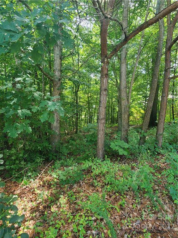 12534 Preservation Pointe Drive - Photo 1