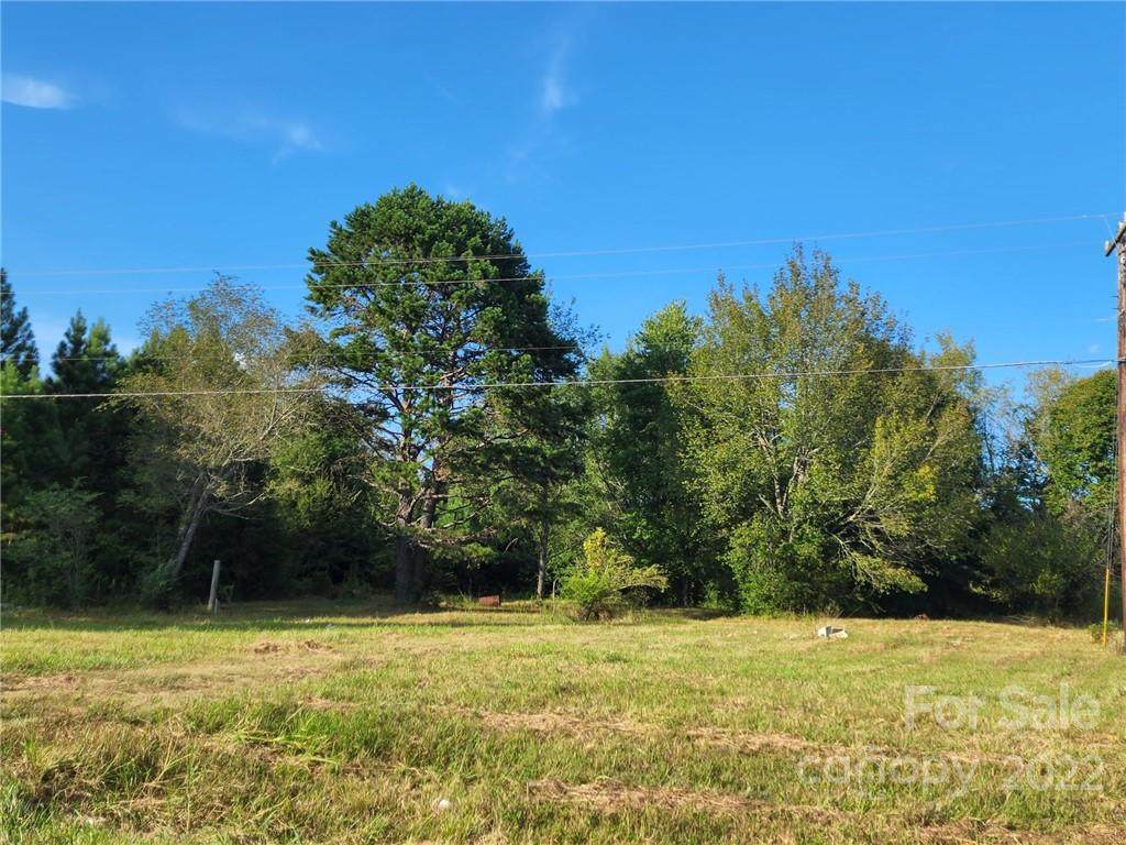 1513 Long Branch Road - Photo 1