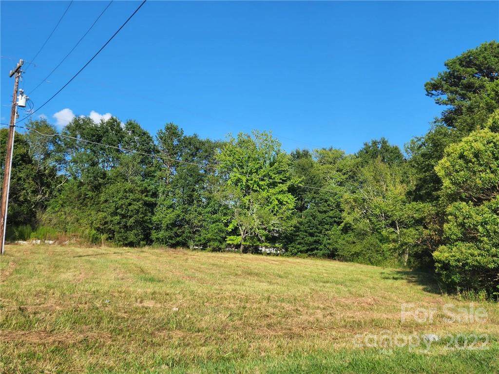 1515 Long Branch Road - Photo 1