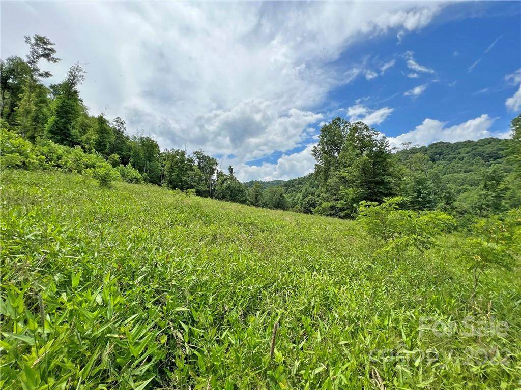 809-B Poplar Gap Road - Photo 1