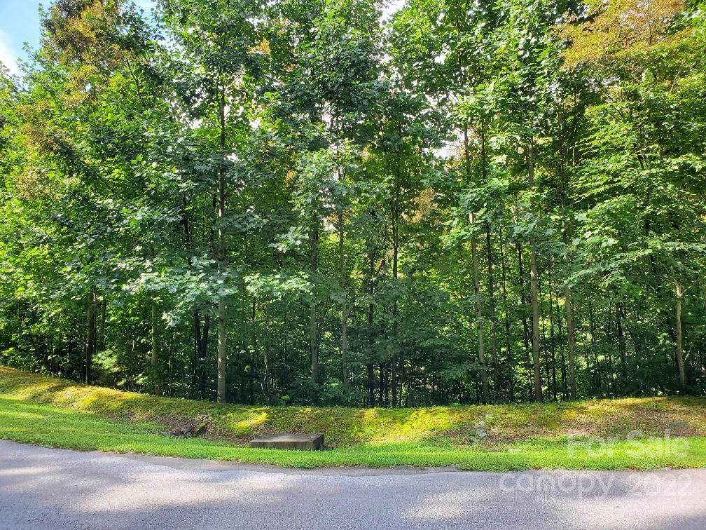 LOT 37 Mountain Morning Lane - Photo 1