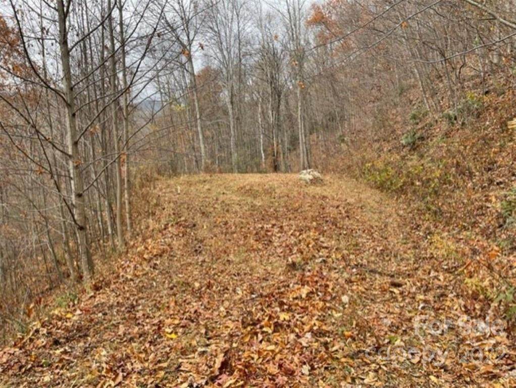 135 Pats Lane - Photo 1