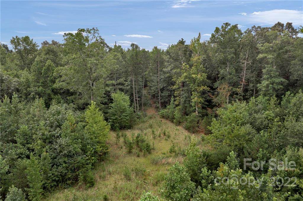 0 Mountain Road - Photo 1