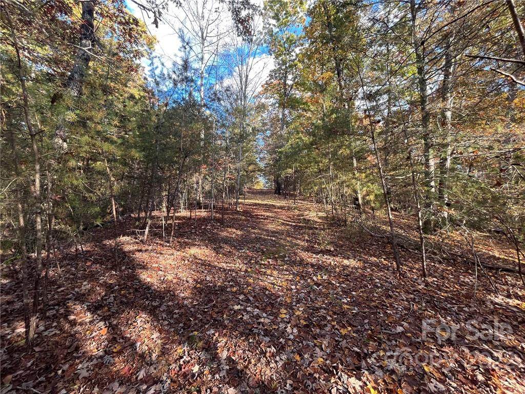 Lot 51 Canoe Drive - Photo 1