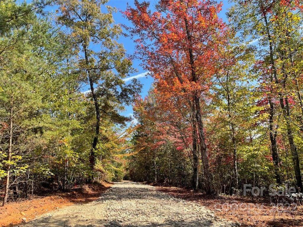 V/L Payne Road - Photo 1