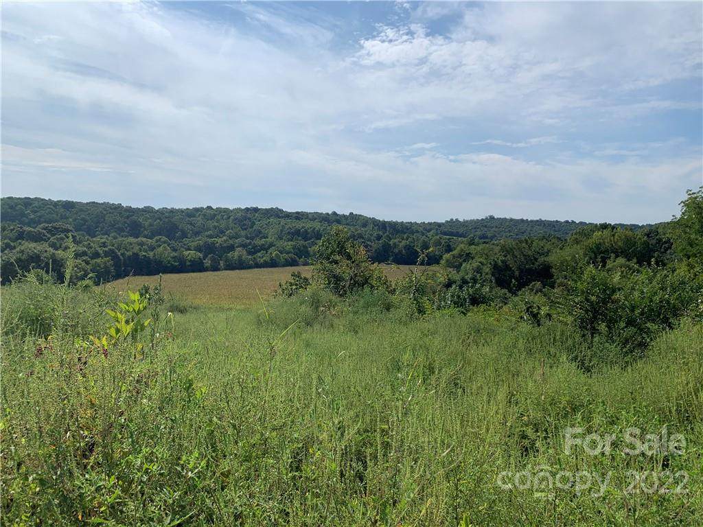 29925 Sides Road - Photo 1