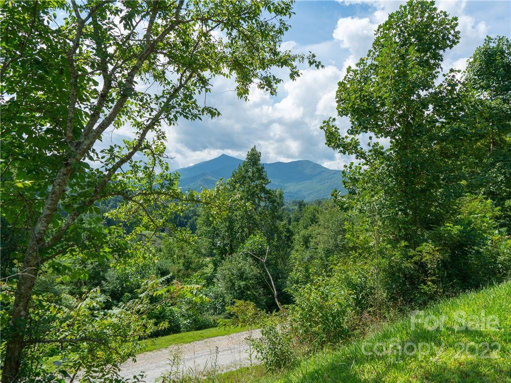 Lot 5 Locust Rough Mountain Road - Photo 1