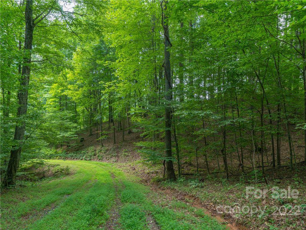 Lot 11 Locust Rough Mountain Road - Photo 1