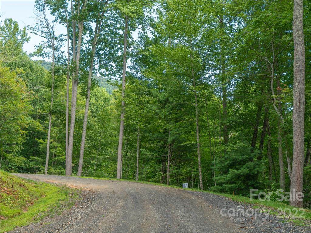 Lot 12 Locust Rough Mountain Road - Photo 1