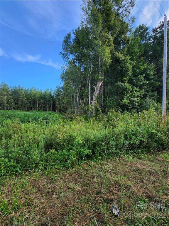 000000 Lick Creek Church Road - Photo 1