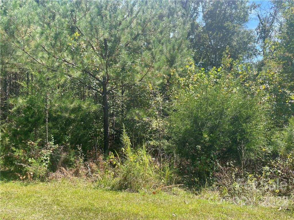 2585 Bonnybrook Circle - Photo 1