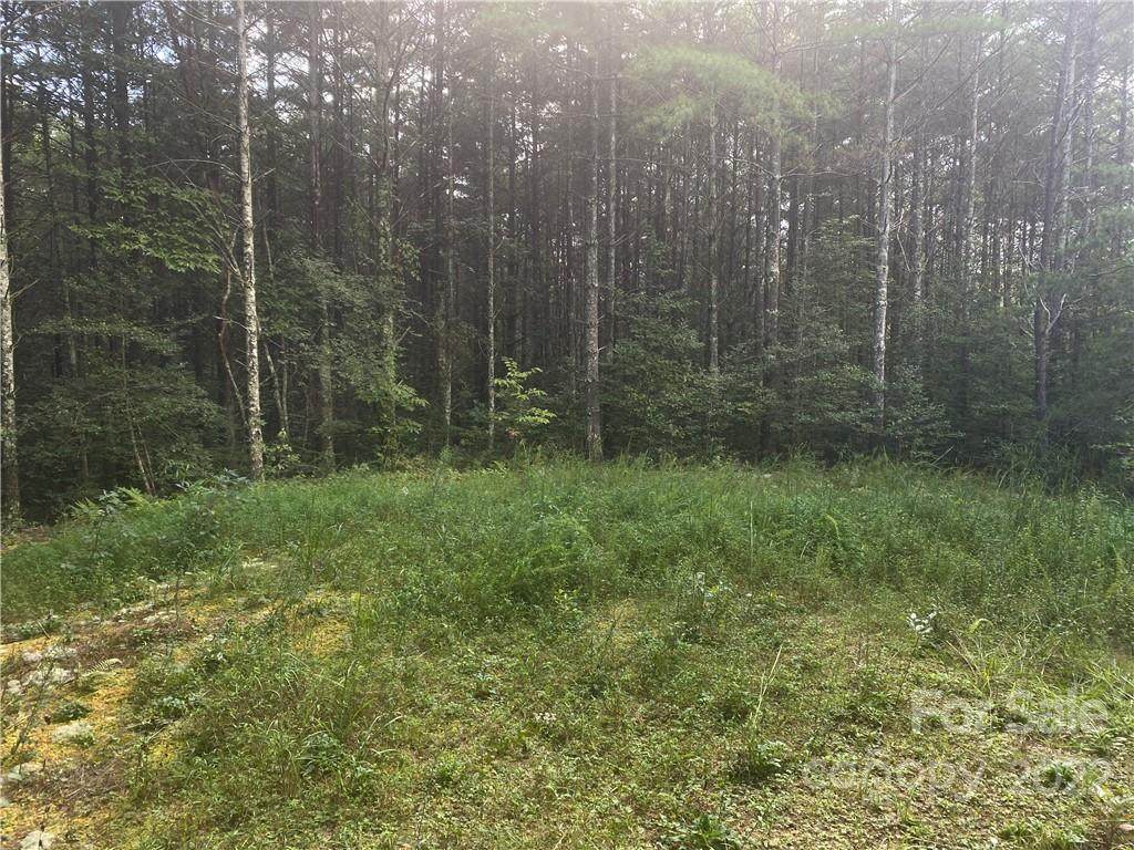 00 Collette Ridge Circle - Photo 1