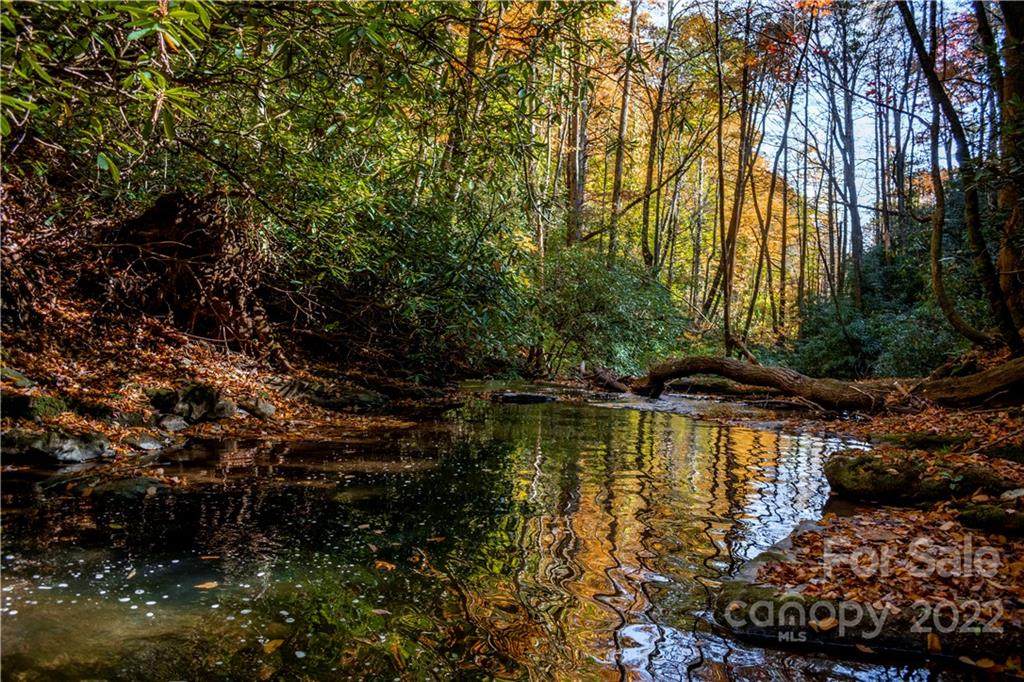 35 Lower Sand Branch Road - Photo 1