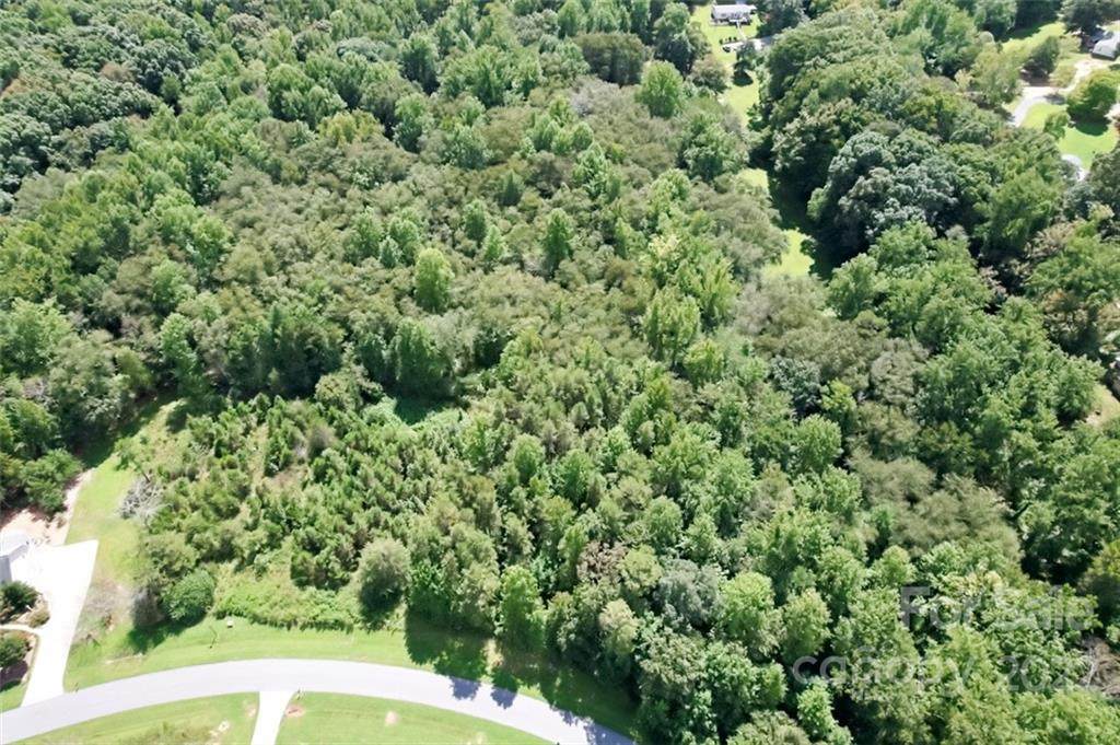 0 River Birch Drive - Photo 1