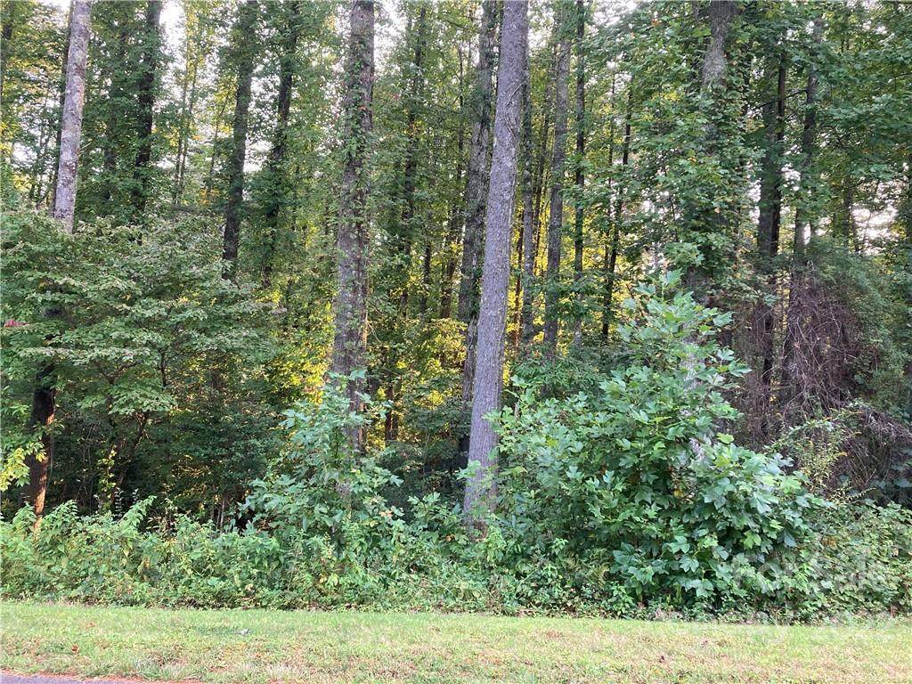 TBD Mountain Brook Trail - Photo 1