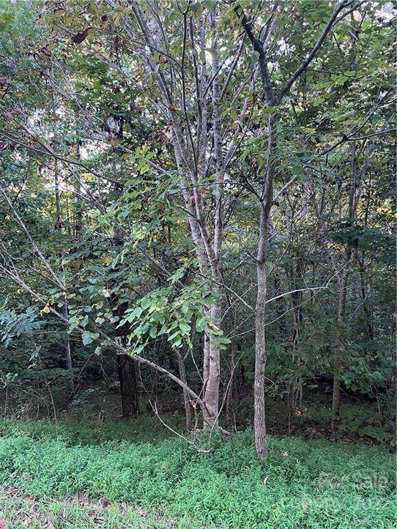 0 Cross Creek Drive - Photo 1