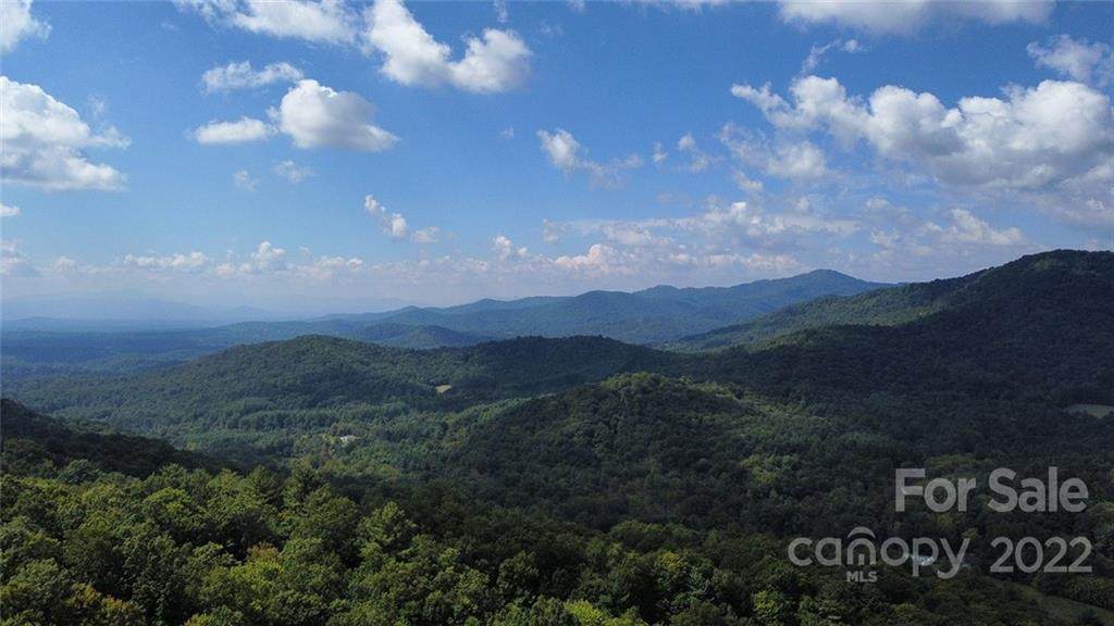 0 Bee Tree Road - Photo 1