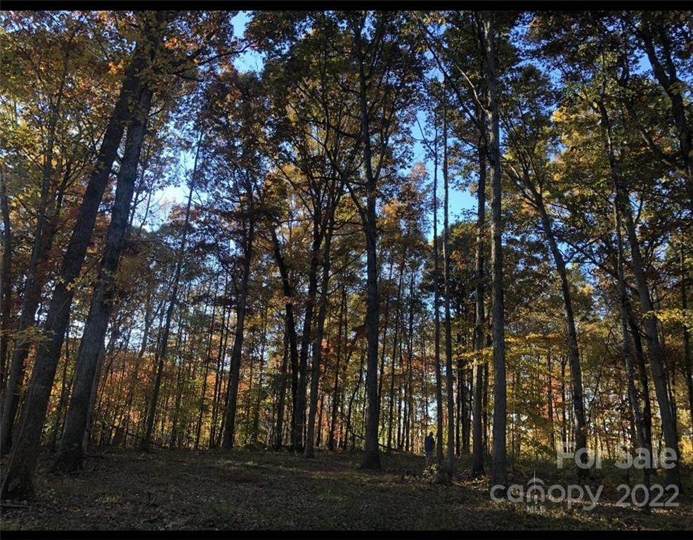 9945 Red Wolf Road - Photo 1